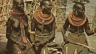 3661 small tits porn videos